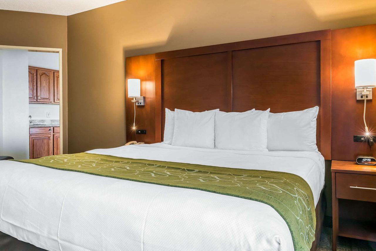 Comfort Suites Springfield - thumb 7