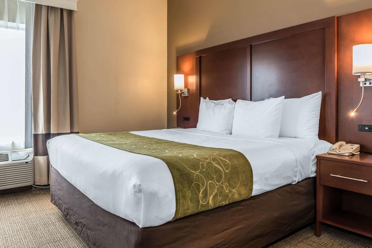 Comfort Suites Springfield - thumb 19