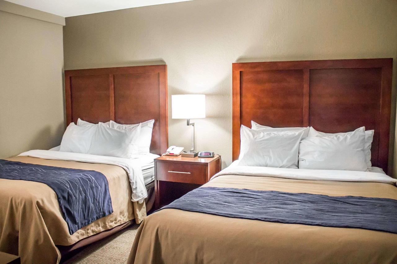 Comfort Inn & Suites Fremont - thumb 9
