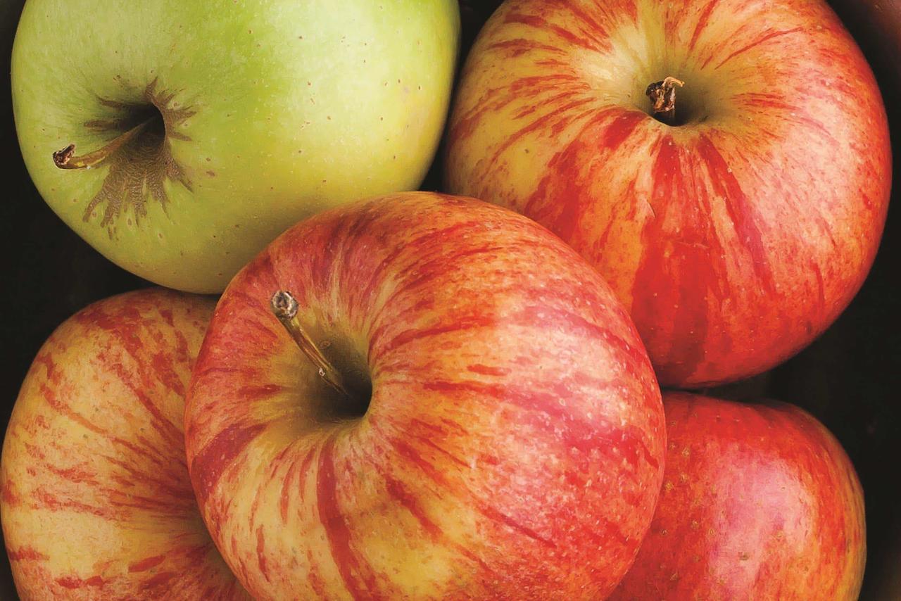 La Quinta By Wyndham Mansfield OH - thumb 4