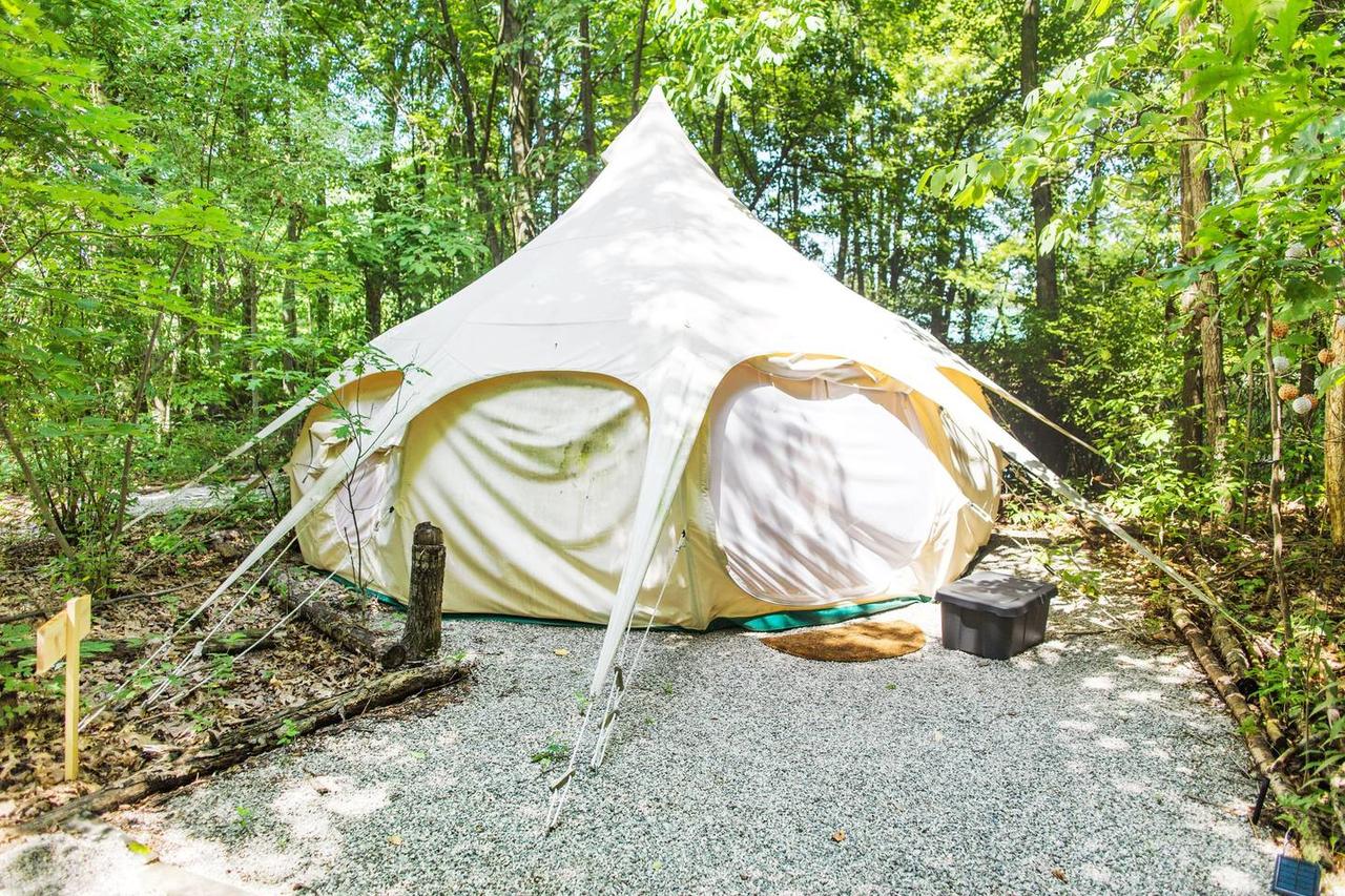 The Eco Camp - thumb 1