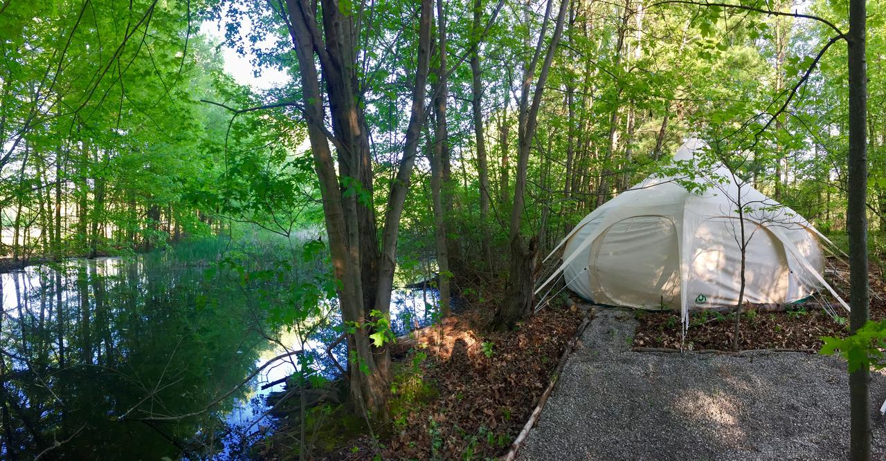 The Eco Camp - thumb 36
