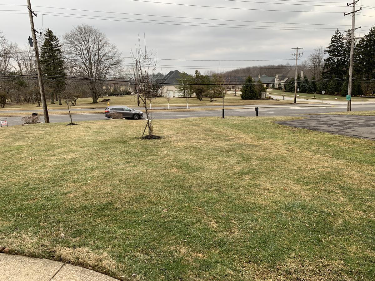 Braysley B&B - thumb 12