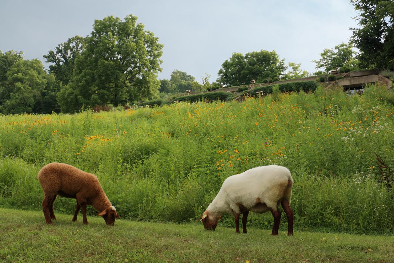 The Inn At Honey Run Millersburg - thumb 30
