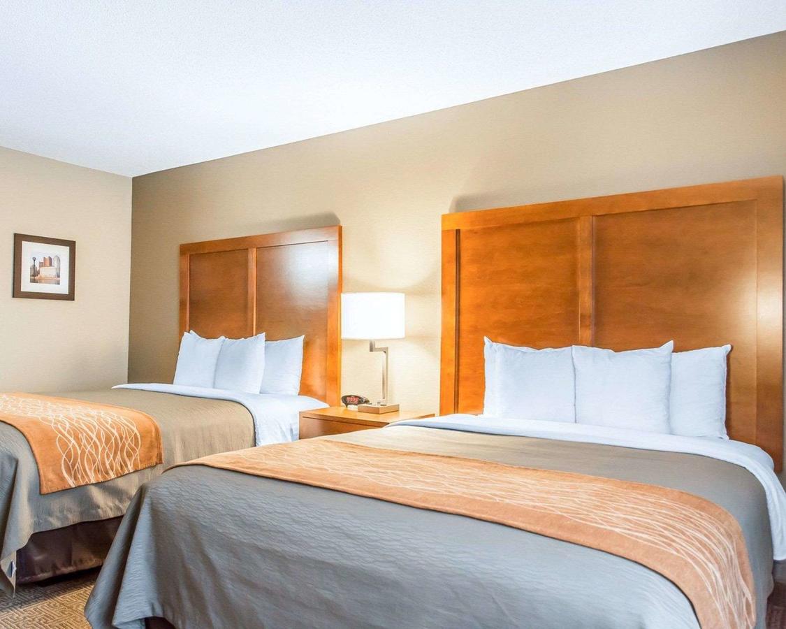 Comfort Inn North/Polaris - thumb 22