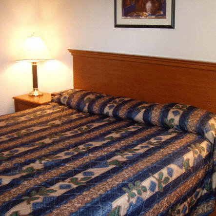 Kozy Inn - thumb 15