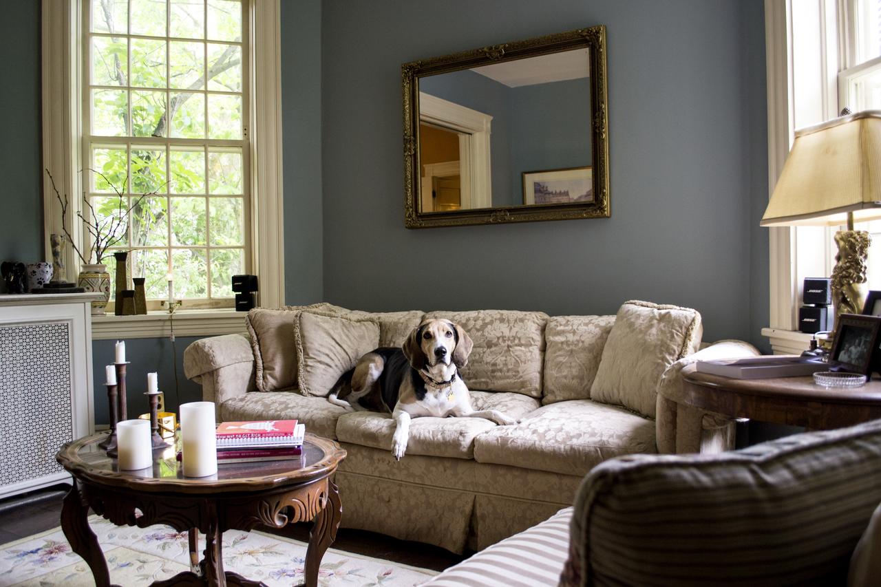 Clifford House Private Home B&B - thumb 9