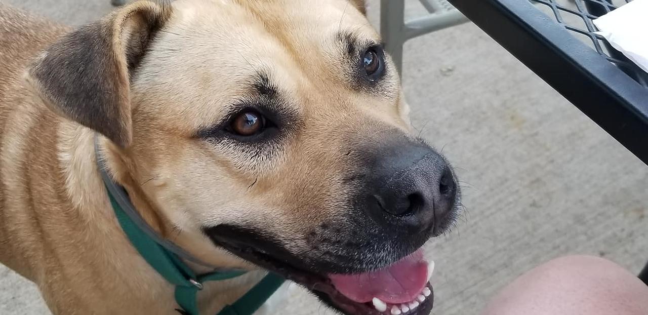 Clifford House Private Home B&B - thumb 1