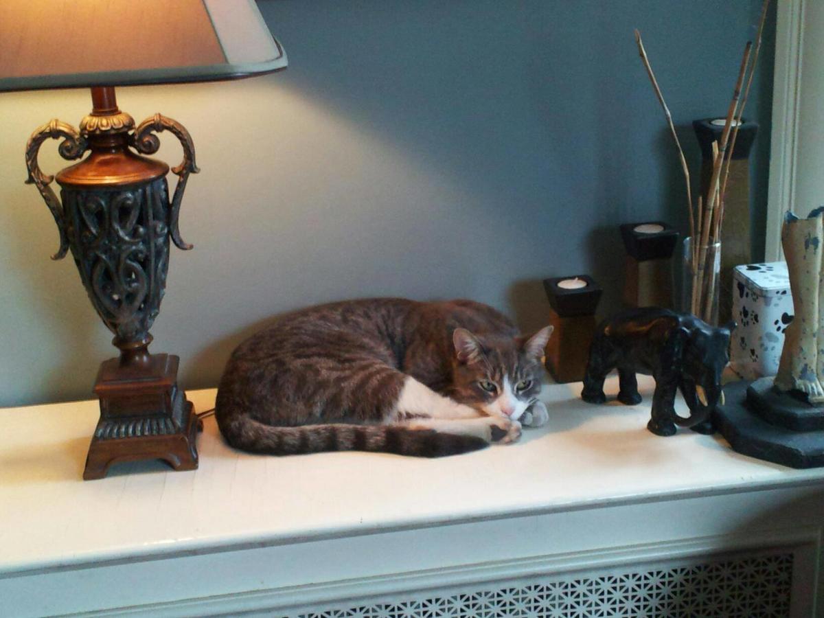 Clifford House Private Home B&B - thumb 2