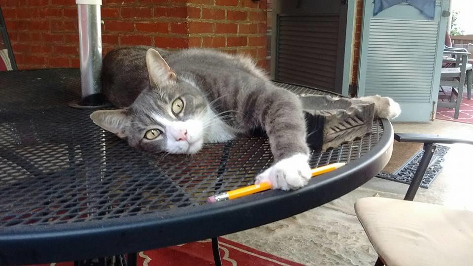 Clifford House Private Home B&B - thumb 17