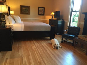 Steele Mansion Inn & Gathering Hub