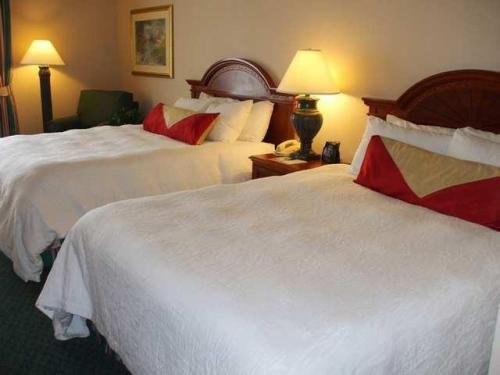 Hilton Garden Inn Columbus Airport - thumb 28