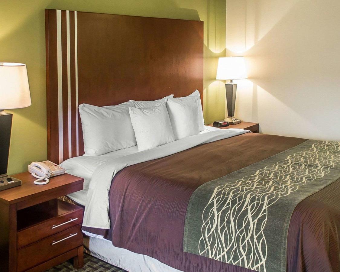 Comfort Inn Austintown - Youngstown West - thumb 9