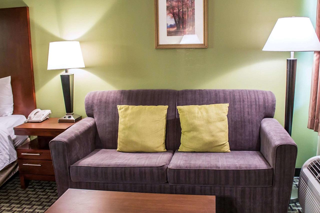 Comfort Inn Austintown - Youngstown West - thumb 21