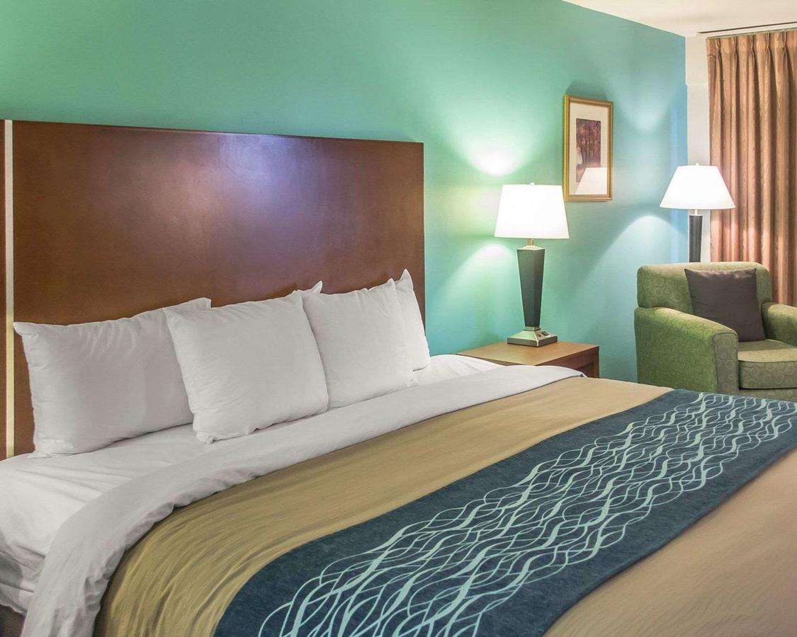 Comfort Inn Austintown - Youngstown West - thumb 23