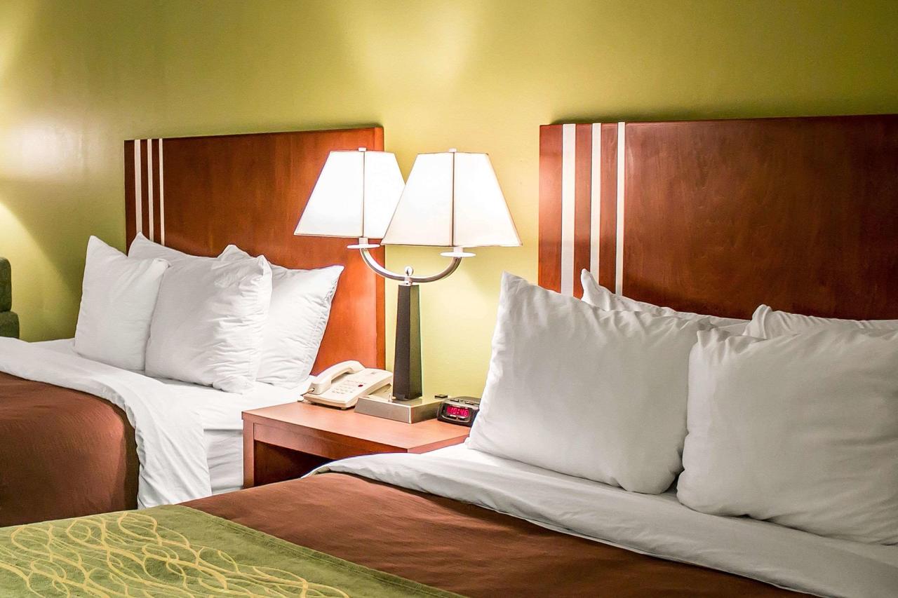 Comfort Inn Austintown - Youngstown West - thumb 13