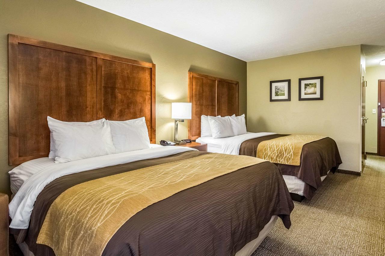 Comfort Inn Dover - thumb 23
