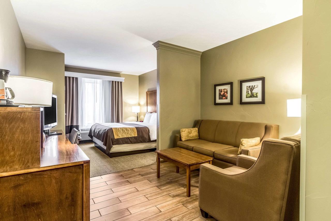 Comfort Inn Dover - thumb 10