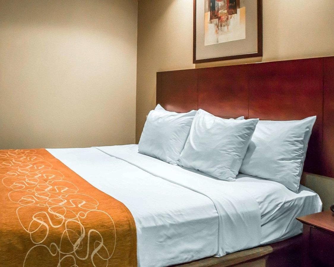 Comfort Suites Perrysburg - thumb 29