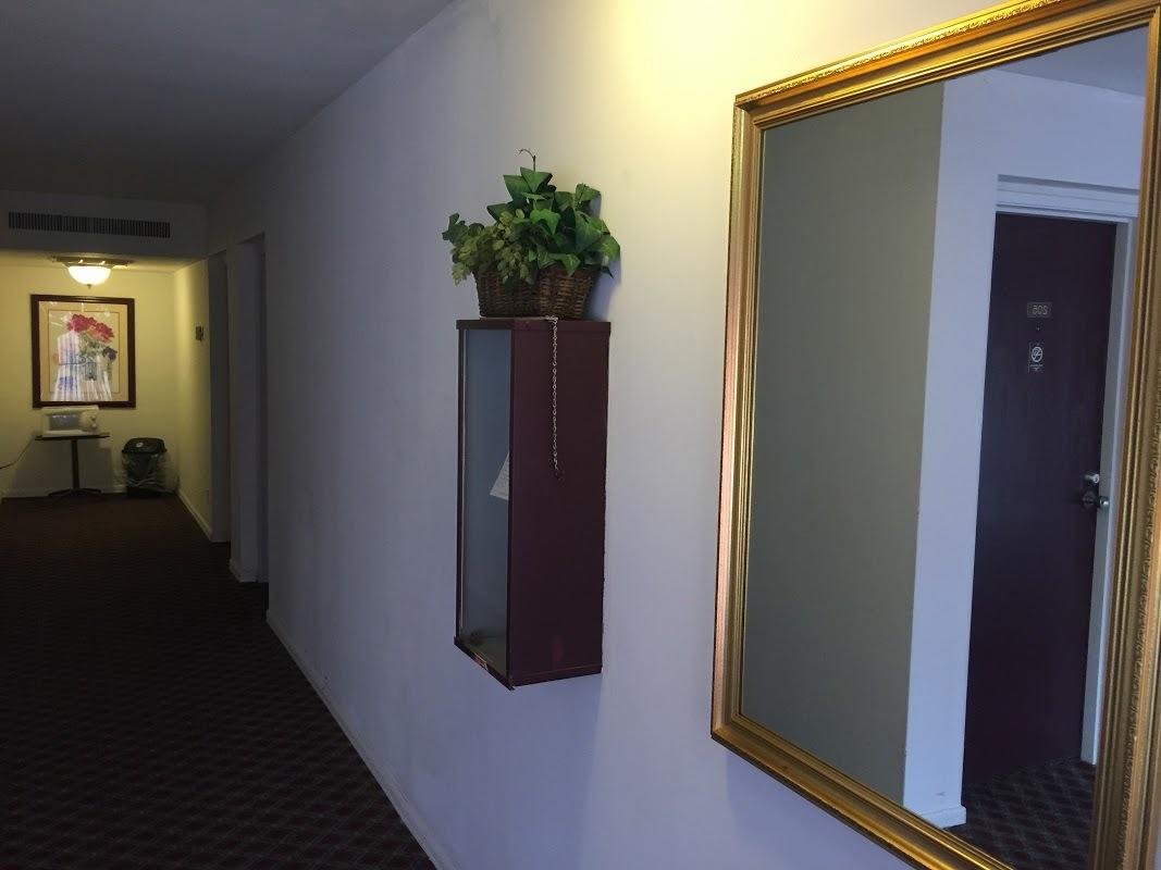 M Star Hotel Mansfield - thumb 29