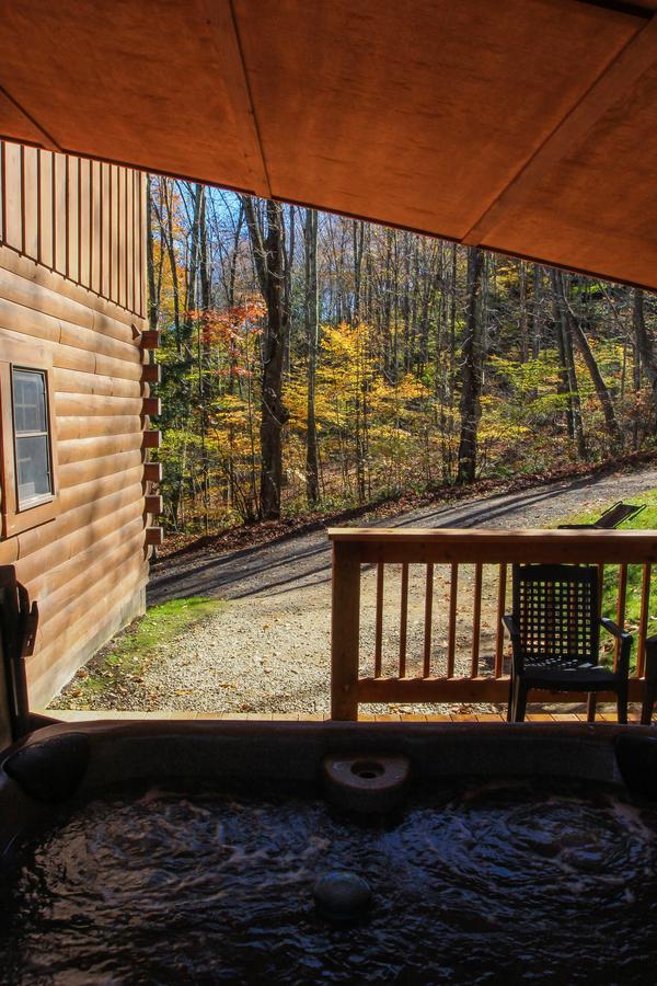 Pioneer - Hocking Hills Cabin - thumb 15