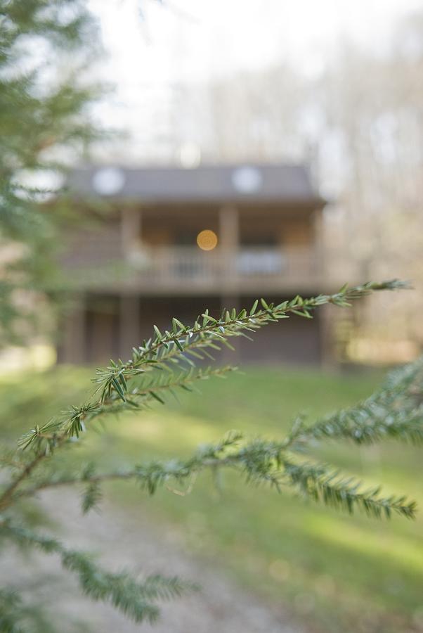Pioneer - Hocking Hills Cabin - thumb 2