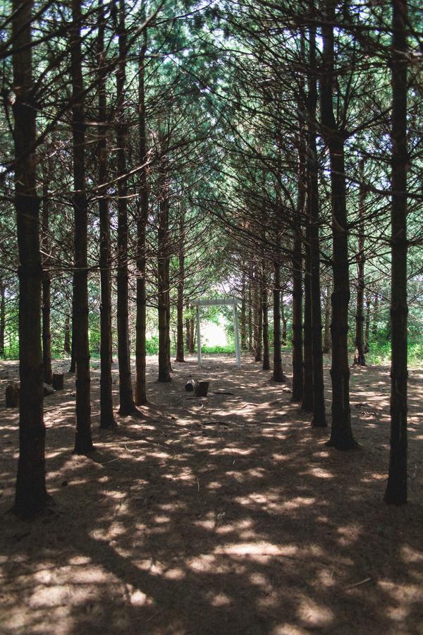 Orchard House Bed And Breakfast - thumb 27