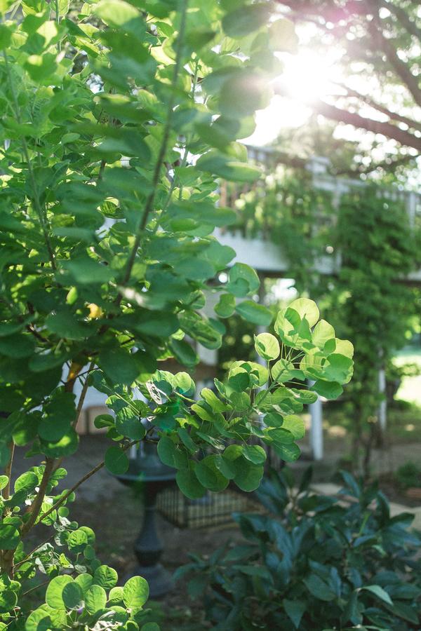 Orchard House Bed And Breakfast - thumb 25