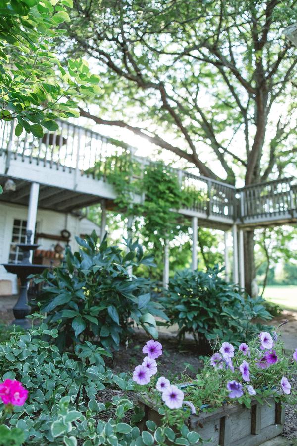 Orchard House Bed And Breakfast - thumb 26