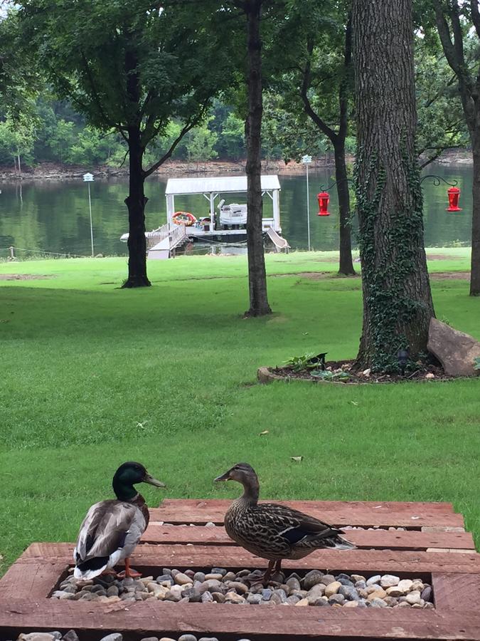 The Boat House - thumb 12