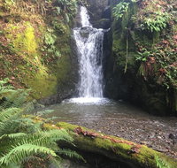 Taylor Creek Lodge - Accommodation Ohio