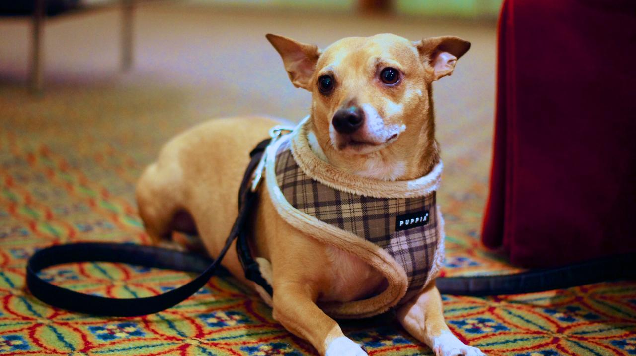 Heritage Hotel Lancaster - thumb 3