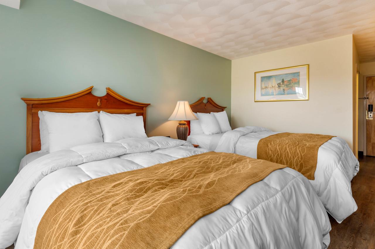 Atlantic Beach Hotel And Suites - thumb 11