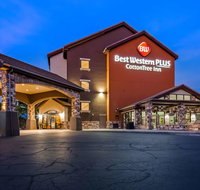 Best Western Plus Cotton Tree Inn - Accommodation Ohio