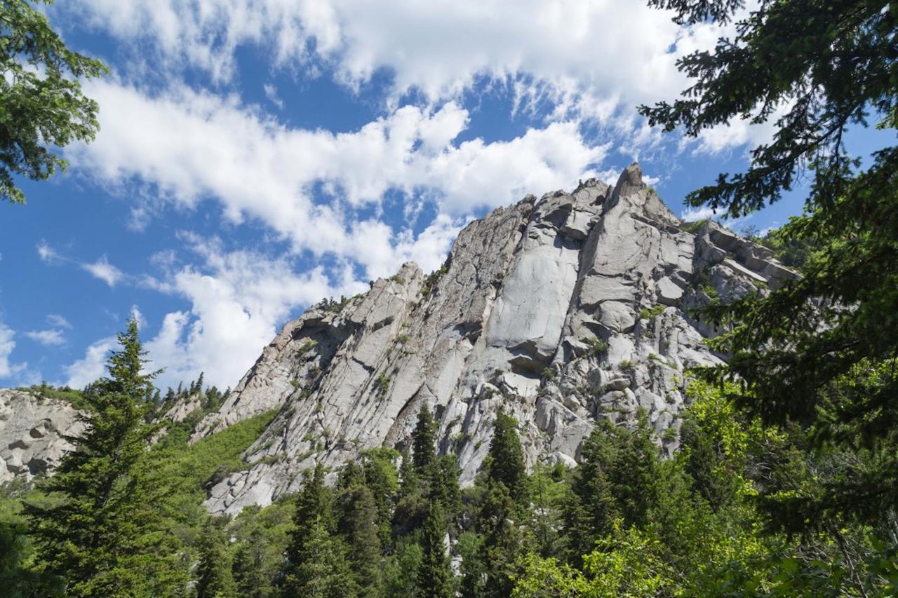 5 Bedroom House Great Location - thumb 22