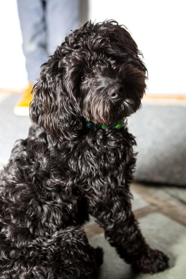 The Barnstead Inn - thumb 20