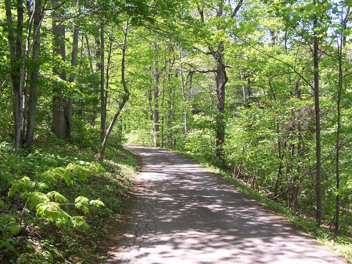 Cabin Creekwood - thumb 32