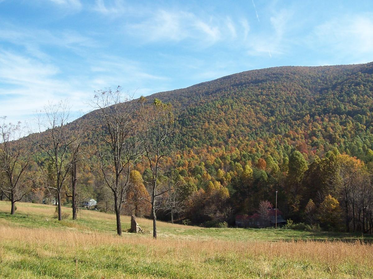 Cabin Creekwood - thumb 5