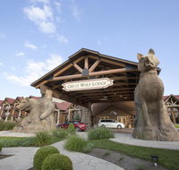 Great Wolf Lodge Williamsburg - Accommodation Ohio