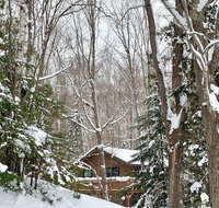 Hauser's Bayfield Cabin - Accommodation Ohio