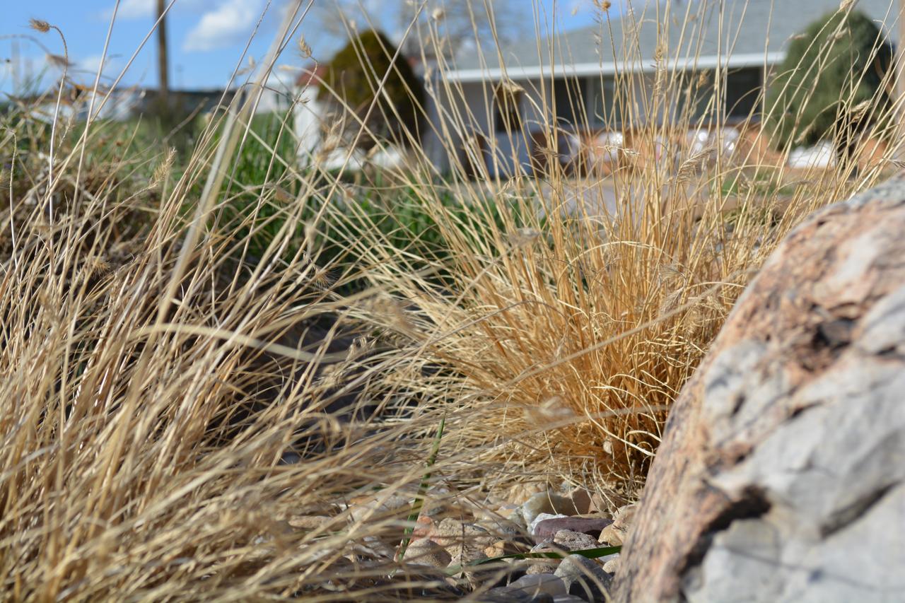 Sage Motel - thumb 8