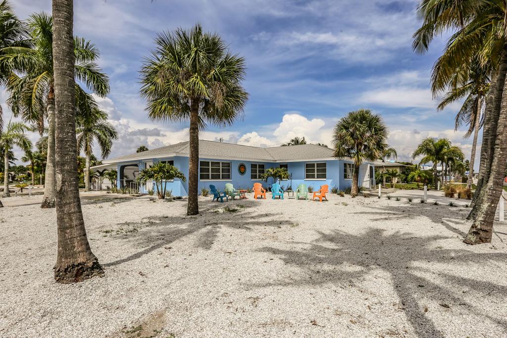 100 Mid Island - MidIsland Dream - thumb 0