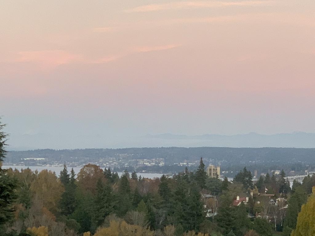 Arboretum View 2 BR House - thumb 2