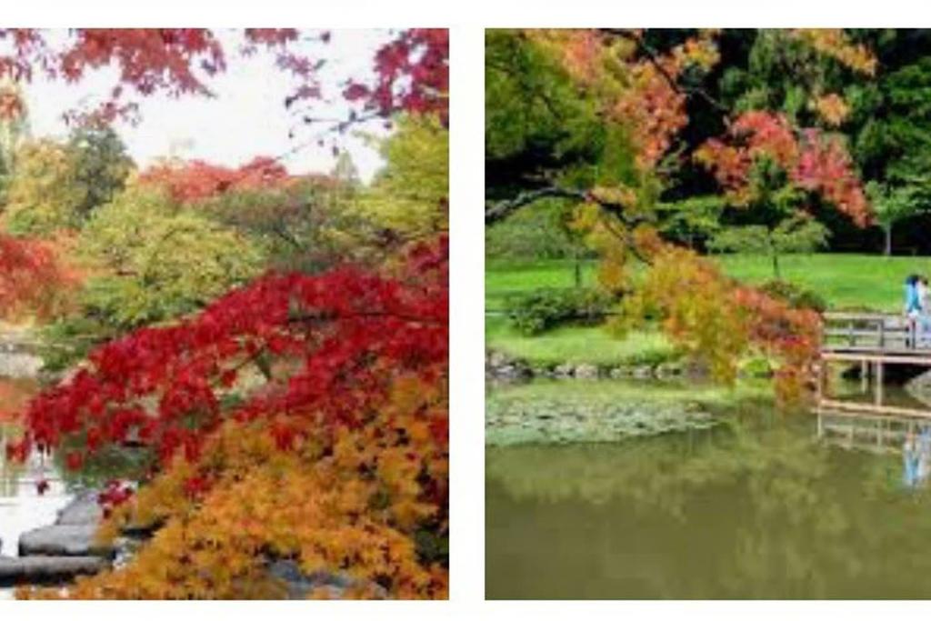 Arboretum View 2 BR House - thumb 1