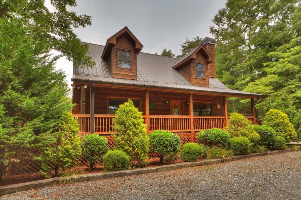 Bear Dance - thumb 0