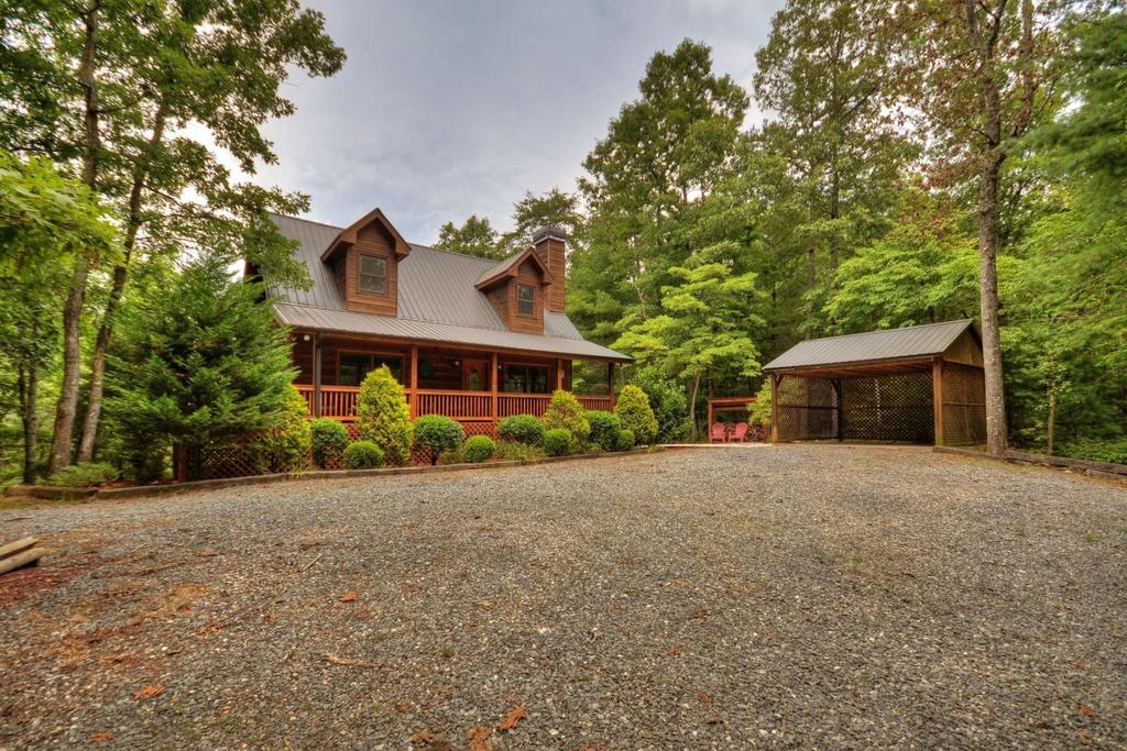 Bear Dance - thumb 1