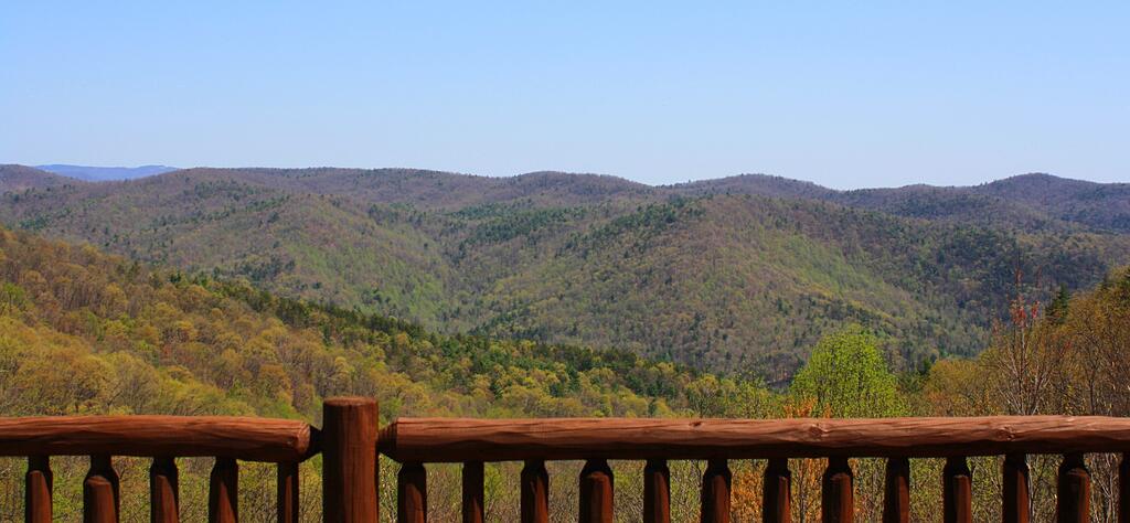 Bear Rest Home - thumb 2