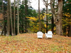 Black Bear Lodge