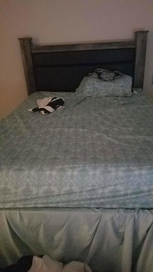 Brand New House, New Carpets, Quiet