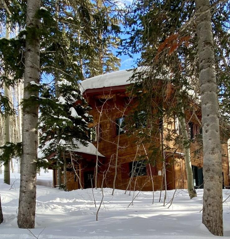 Brighton Woods - thumb 3